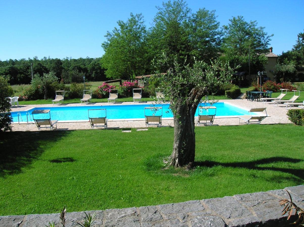 Agriturismo Buonasera Bagnoregio Exterior foto
